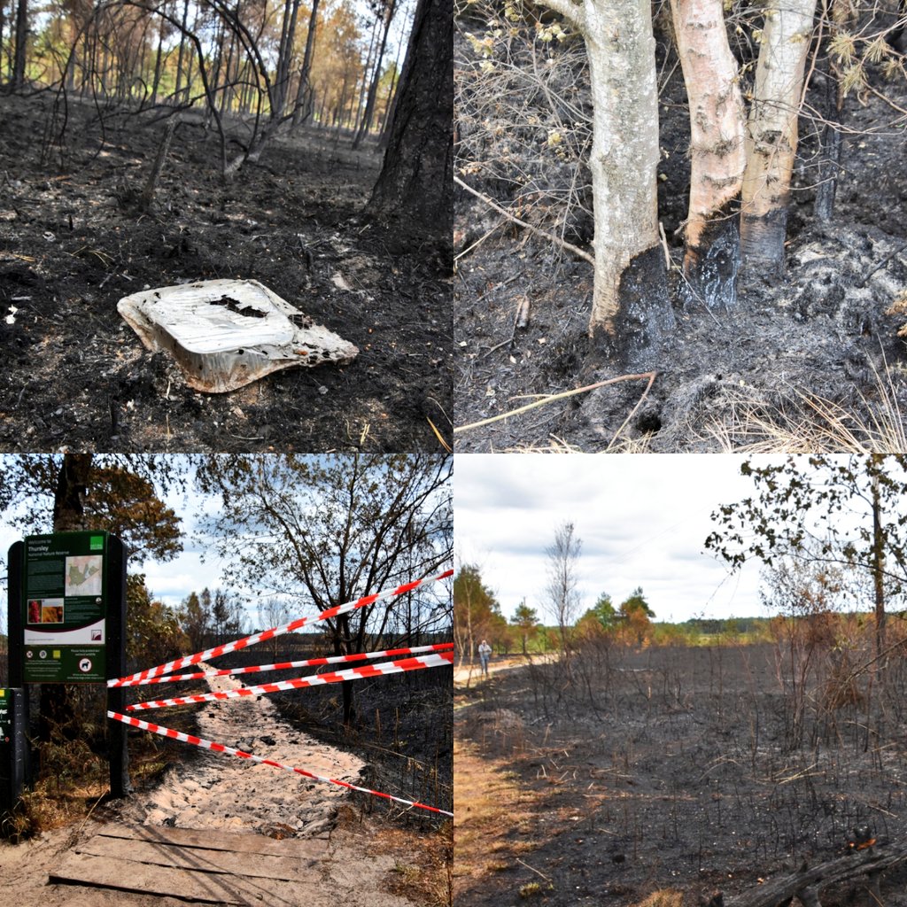 Firesnapper999's tweet photo. #Hampshire #Surrey #Berkshire #Sussex Please don't be the person who causes carnage &amp; death in our countryside &amp; wildlife habitats due to a lapse of judgement!? 😢 Please Be #WildfireAware, support YOUR #CommunityFirefighters in helping to protect our countryside. 🚒 https://t.co/CZdAKVpNfY