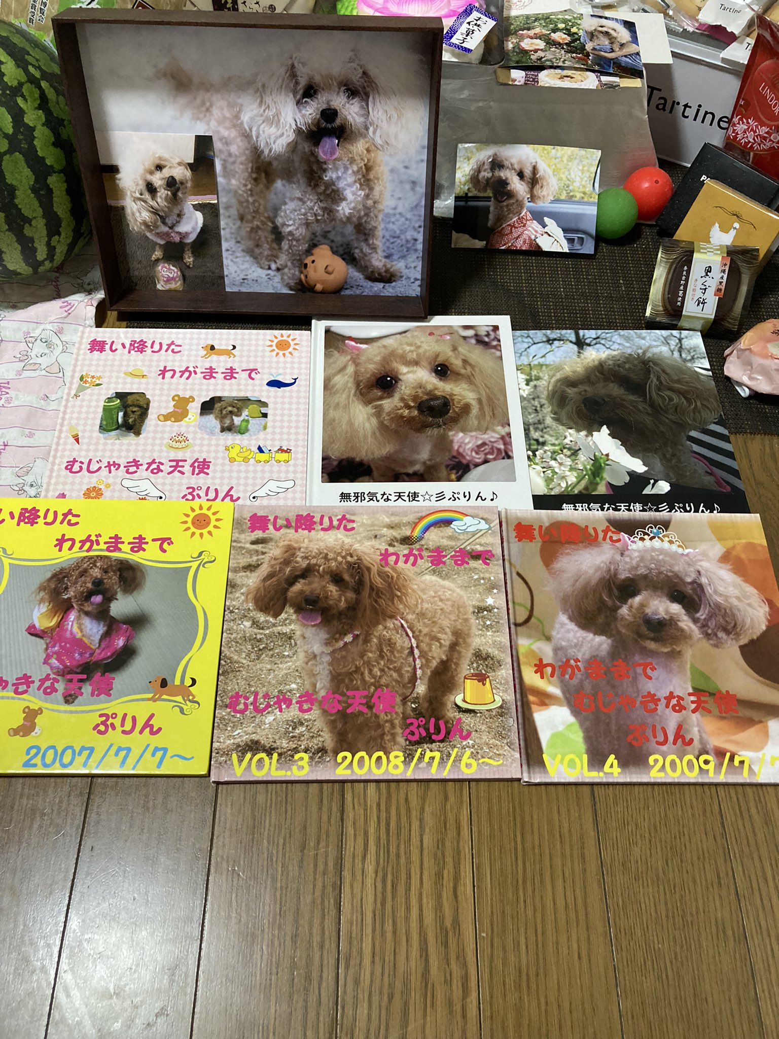 青番長 Puriyango 凄いですねぇ 愛されていたのが分かります ぷりんちゃん 幸せだね Twitter