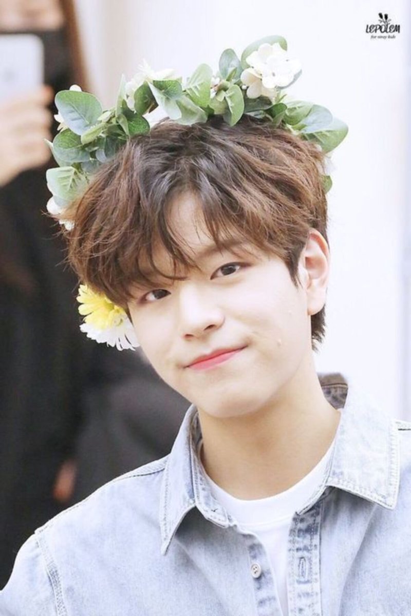 chansbada's tweet photo. no but like look in the eyes and tell me this cat doesn't look like seungmin https://t.co/md1aQ5fZHq
