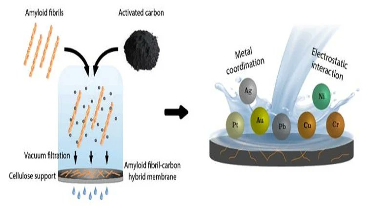 MouserElecEU's tweet photo. Waste products generated by oil extraction from peanuts and sunflower seeds may have a beneficial role in #watertreatment!๐ฐ Proteins harvested from this residue have been demonstrated to effectively adsorb heavy metal contaminants from #aqueoussystems. ๐ https://t.co/vY6gfRrkqo https://t.co/zMP5ZTp8HD