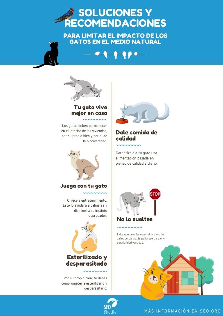 SEO_BirdLife's tweet photo. ¿Qué tal se porta tu gato? 😺 Aquí te traemos algunas recomendaciones para evitar el impacto de los gatos domésticos en el medio natural. ¡Como en casa, en ningún sitio!🏡
ℹ️ https://t.co/wP9aslFXce
#GatosASalvo https://t.co/VYlI9yKdvz