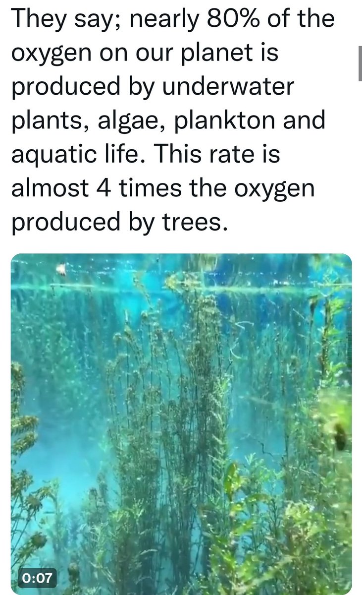 jha_yatendra's tweet photo. The way forward to #NetZero is #DirectAirCaptureCO2 and devolve it in sea! what about the non coastal locations?? We can use our man-made #wetlands #Biopond by #SmartHimalaya to trap #CO2 though it will require #FossilFuels burning as of now ..keep planting #Tree https://t.co/ls0McaSb2V