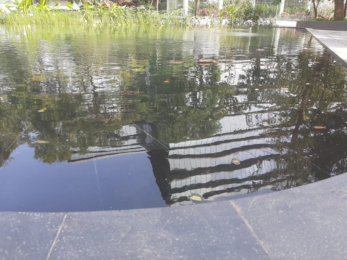 jha_yatendra's tweet photo. The way forward to #NetZero is #DirectAirCaptureCO2 and devolve it in sea! what about the non coastal locations?? We can use our man-made #wetlands #Biopond by #SmartHimalaya to trap #CO2 though it will require #FossilFuels burning as of now ..keep planting #Tree https://t.co/ls0McaSb2V