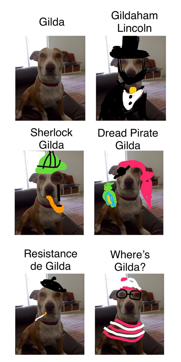 @claudrosewrites Your dog is adorable and deserves to fly to all these places. I’m not as good with photoshop, but 100% relate to being inspired by a cute pup