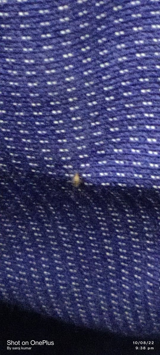 sarojsuar's tweet photo. @IndiGo6E lot of mosquito inside the flight 6E6172 from Delhi to Bhubaneswar on 10th August 2022 https://t.co/RXYHKFPDxC