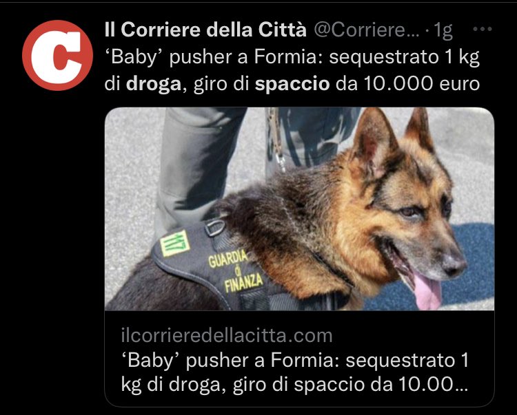 acino2020's tweet photo. Esiste almeno un partito che preveda la regolamentazione delle sostanze stupefacenti? #SpiniNelFianco #weedmob #WarOnDrugs #StopWar #25settembrevotoLegalizzazione #StopRepressione #SullaMiaPelle #CannabisLegale #droghe #Legalità #ElezioniPolitiche2022 https://t.co/8mJwwX162M