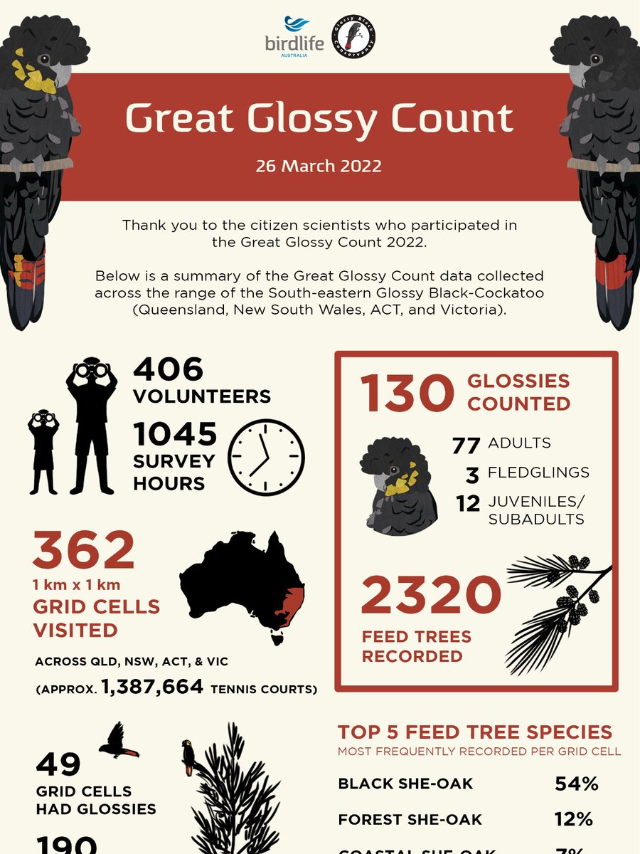 The enormous value of citizen science is showcased by the results from Australia’s first Great Glossy Count. The impact of the Black Summer bushfires has unfortunately seen the South-eastern Glossy Black-Cockatoo recently recognised as threatened. More fal.cn/3qWwt
