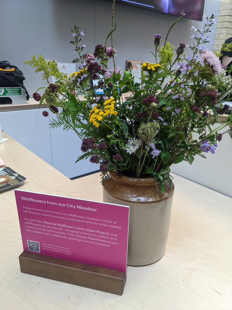Great to see Scousflowerhouse display live at the World Museum. With lovely l flowers collected by Donna Young from the showcase  City meadow outside the World Museum. Thank you to all at  WM <a href="/NML_Muse/">National Museums Liverpool</a>  <a href="/HerbariumDonna/">Donna Young</a>