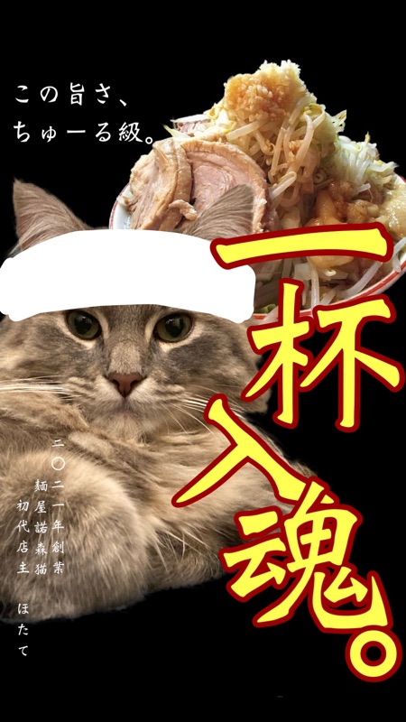 gyu916's tweet photo. うちの猫があまりにラーメン屋の店主すぎてポスター風コラ画像つくったの、力作だからみてほしい https://t.co/tEul24sWbD
