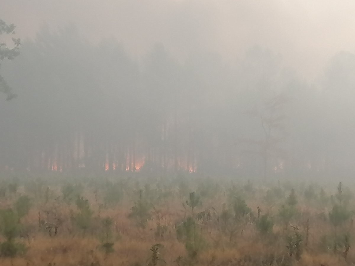 Incendie en Gironde : le feu est là, aux portes de Béliet est. Dans la rue Houdy-Seouze mercredi, on le voyait de loin Ce jeudi matin, il a ravagé un entrepôt à deux pas des habitations et brûlé quelques voitures. Il y a du vent. On entend le bois crépiter bit.ly/3QnTNMw