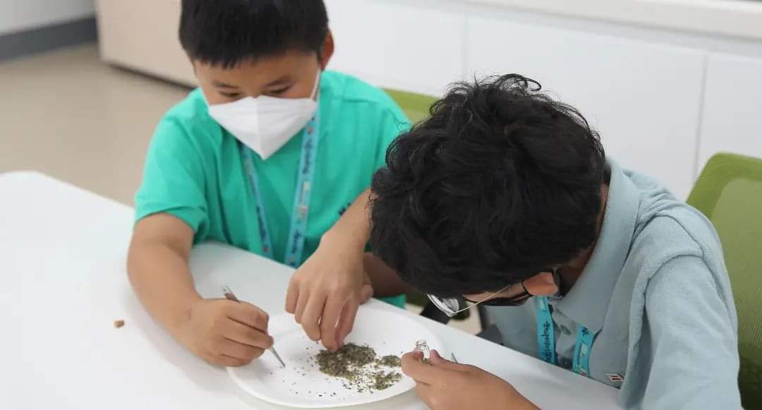 jejumuseum's tweet image. 2022년 제주어린이박물관학교 1학기 수업이 끝나고 여름방학이 시작되었습니다.
5월 7일 입학식을 시작으로 박물관에서 하는 일, 선사시대부터 조선시대까지 제주 역사, 제주의 자연환경을 주제로 다양한 강의와 체험활동이 진행되었습니다.

#국립제주박물관 #제주어린이박물관학교 #박물관교육