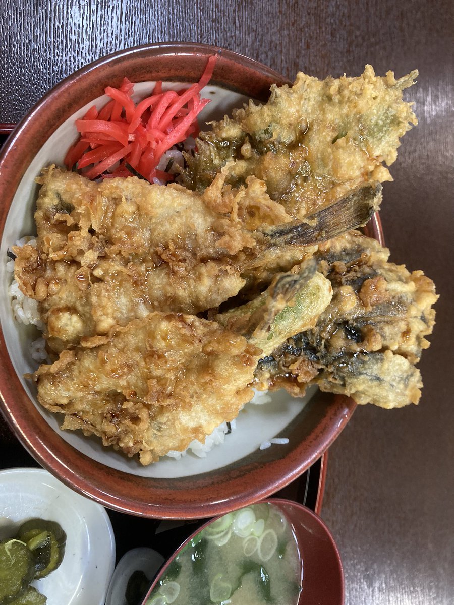 pullout_moto's tweet photo. ハタハタ天丼。
美味しいしボリューム凄し！ https://t.co/RNhLSqt8un