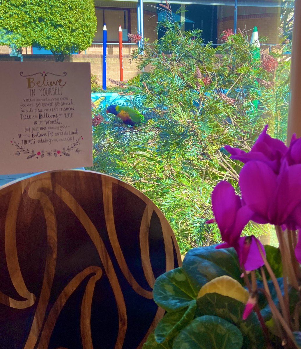 Rosaleesh's tweet photo. Every morning this little guy visits my corner window at work. He’s my morning reminder to enjoy the little things before the noise
#grateful #PrincipalWellbeing #leadership #leadershipmindsets #Relentless https://t.co/YJzDSl0Irq