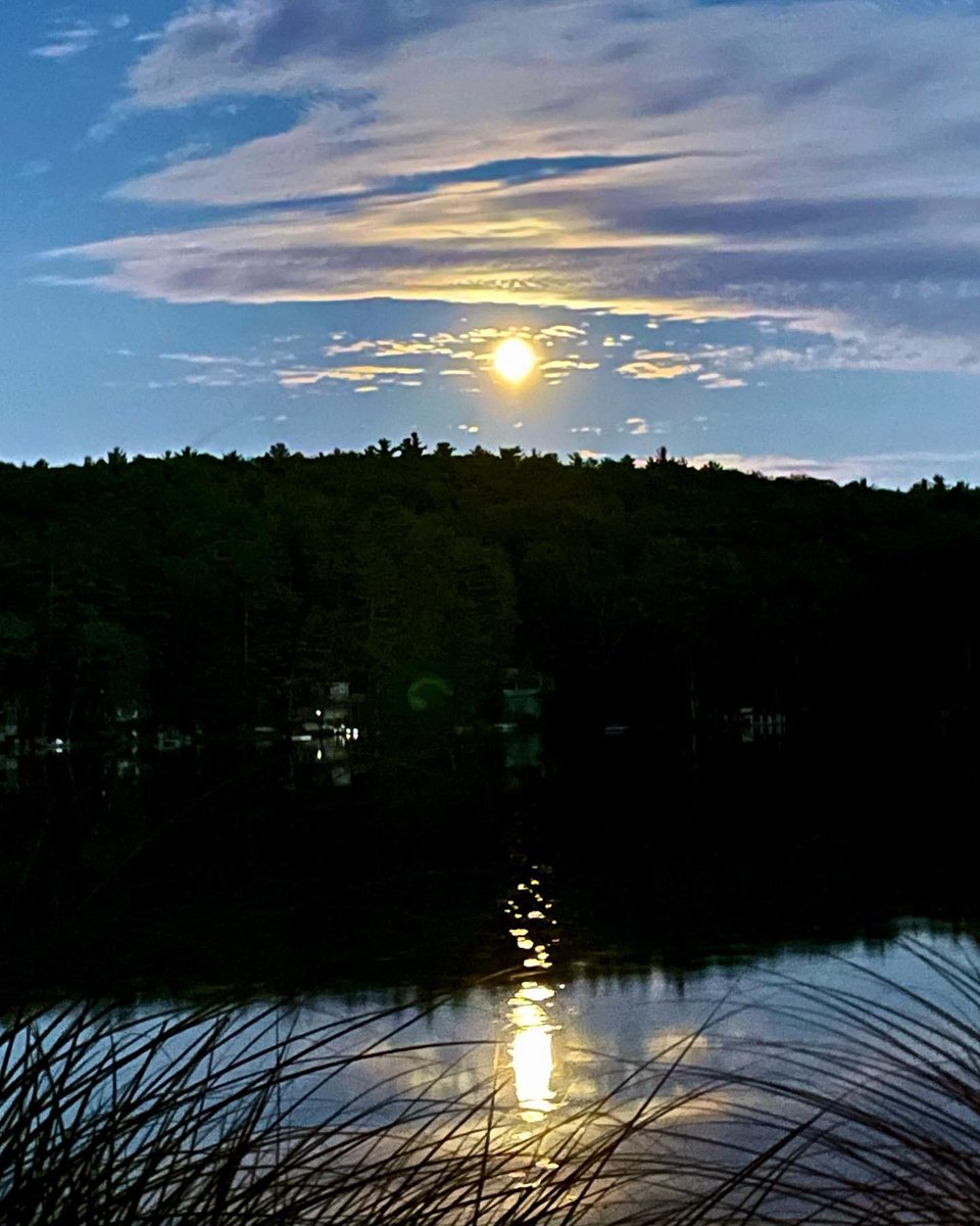 Marguerite M. Rivas tweet media