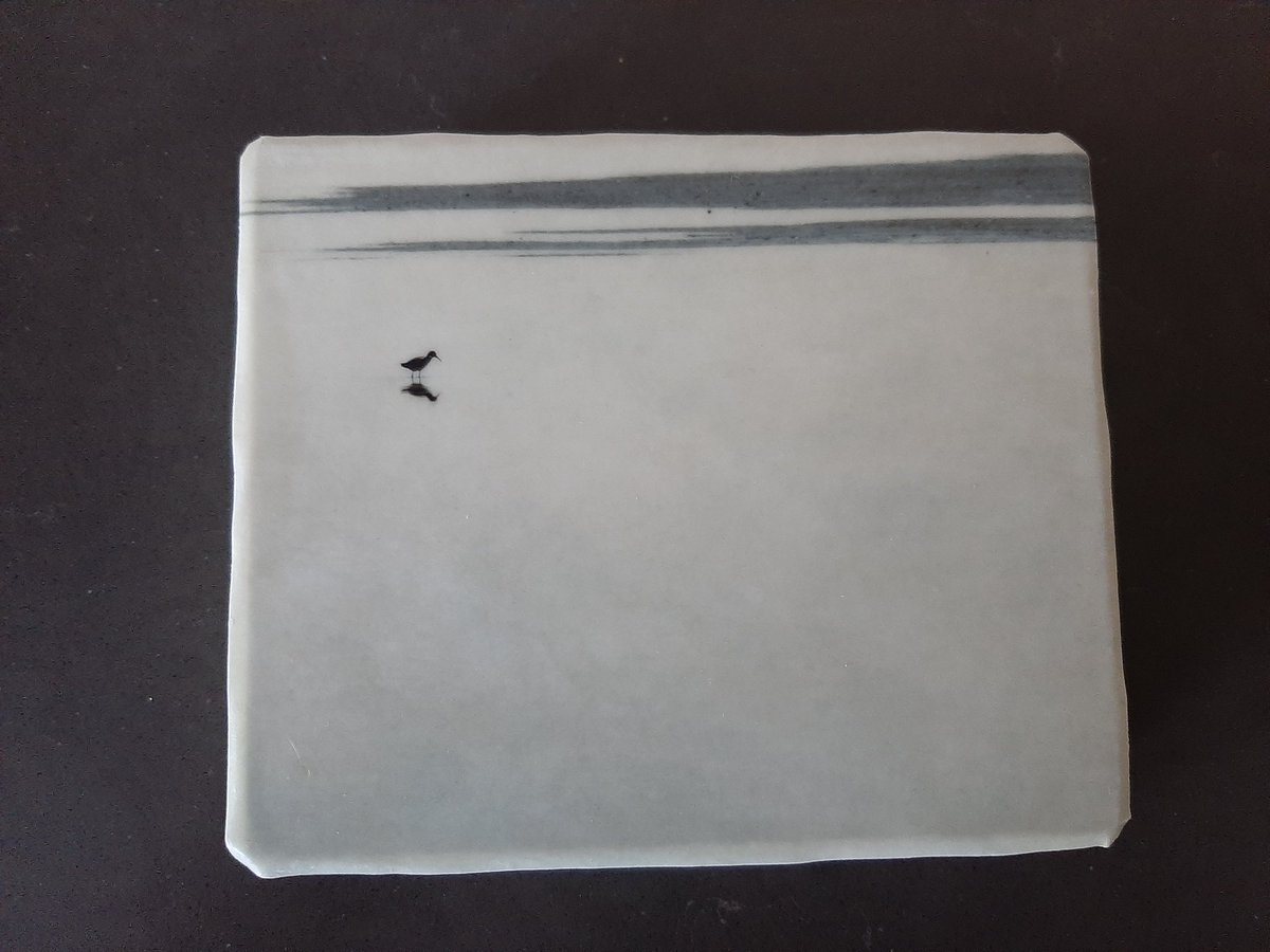 Ik raad het aan  voor je humeur en de esthetiek: het werk van <a href="/laurazwaneveld/">laura</a> 
Deze mooie foto van een tureluur siert sinds gisteren de muur.