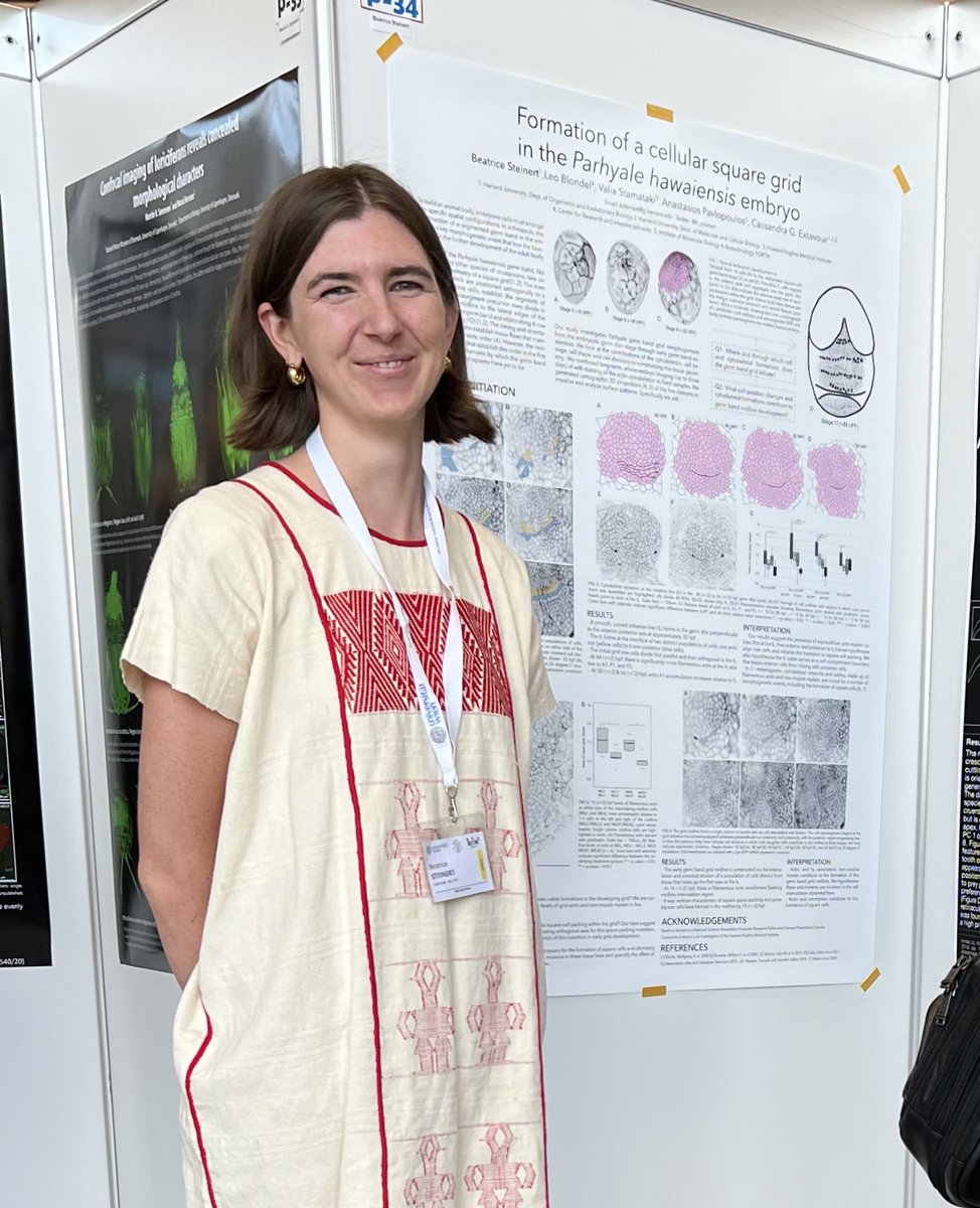 ggiribet's tweet photo. @b_steinert from @redmakeda lab presenting her beautiful work on Parhyale development at @5Icim @HarvardOEB https://t.co/8bTswAeDYi