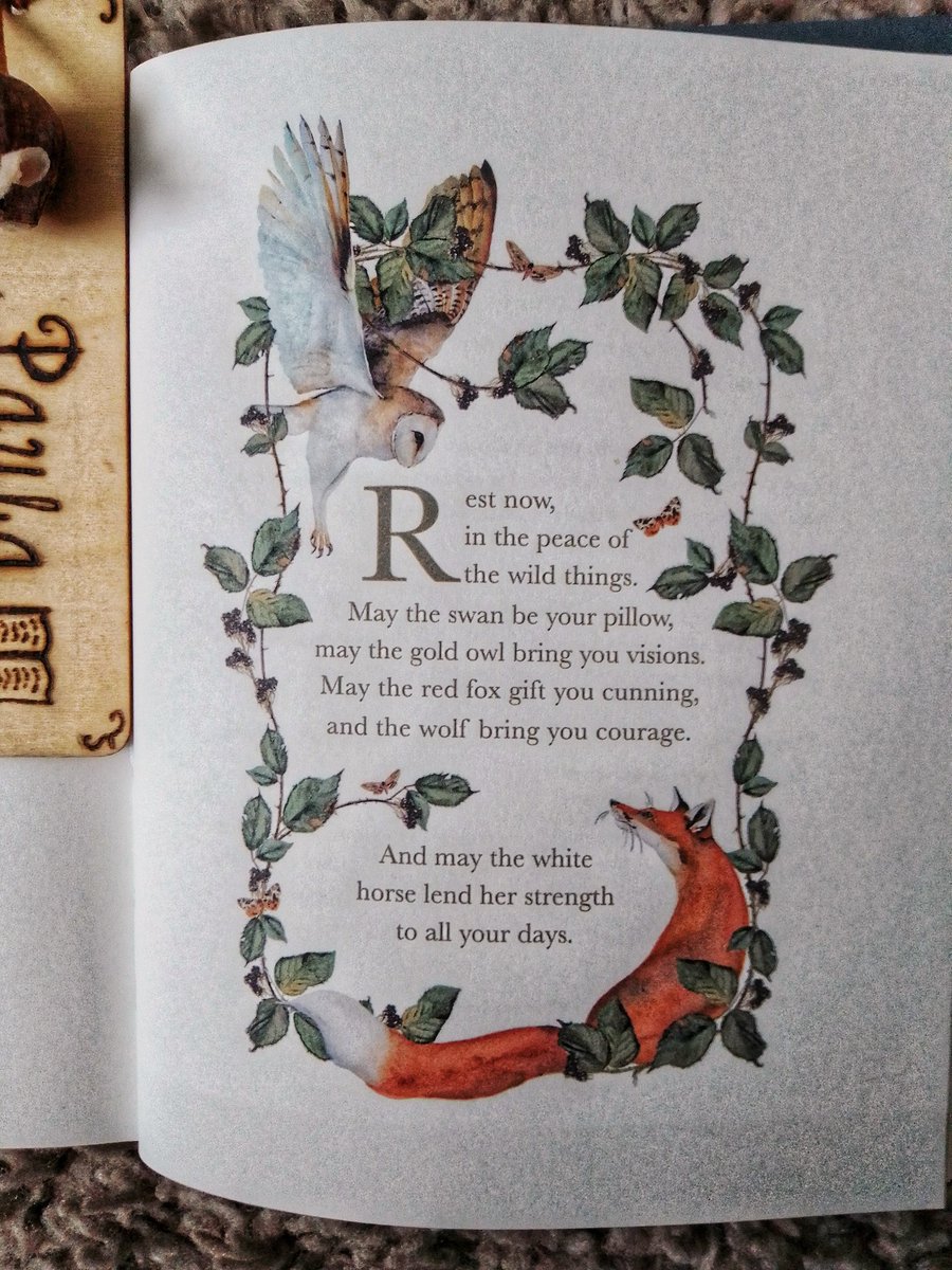 MogRagga's tweet photo. Good morning lovely people. I thought today I would share the beautiful art and words from 'The Unwinding and Other Dreamings ' by Jackie Morris.
In this book, there is an escape, if only for a moment.💚
#ThursdayThoughts #Folklore #FolkloreThursday #MHHSBD #TheWildThings https://t.co/BM1hJu8OU6