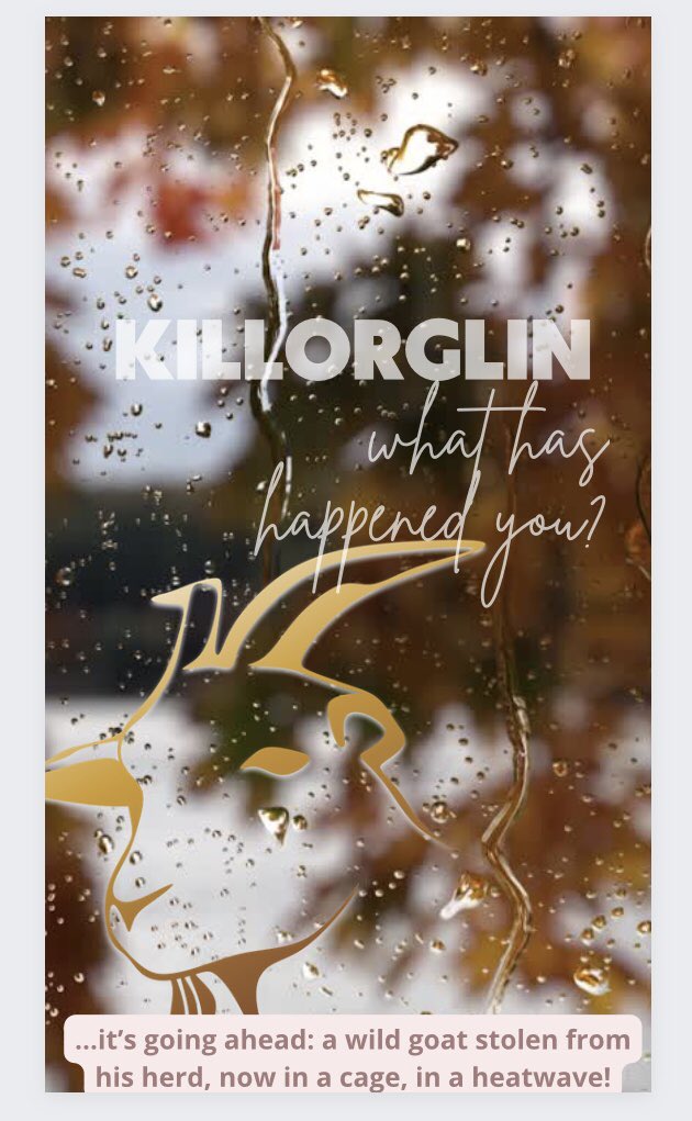 30 degrees in Munster today <a href="/puck_fair/">Puck Fair</a> incase you need to know - that means a few degrees more in a metal cage as you know it radiates heat #humanup do the right thing &amp; be applauded not condemned for cruelty. #welfarebeforefun