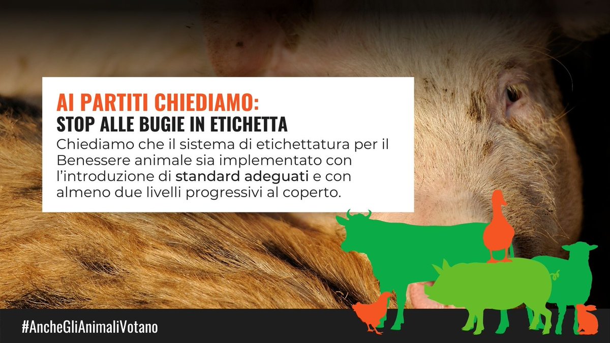 CIWF_IT's tweet photo. #AncheGliAnimaliVotano e in loro nome chiediamo ai candidati alle #ElezioniPolitiche2022 di impegnarsi a: 

prevedere per il sistema di etichettatura nazionale di benessere animale #SQNBA degli standard adeguati, prevenendo le #BugieInEtichetta https://t.co/jVOuM2XNzv