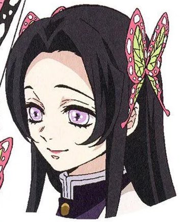 daily butterfly sisters 🦋 (@kochoarchive) on Twitter photo 