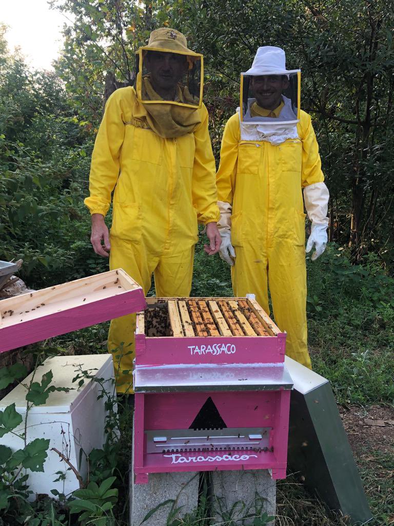 LeApiAlCastello's tweet photo. And on the left is Marco,our #jedimaster. He’s been a professional #beekeeper since 1993. Devoted to #natural &amp; #biological methods, he’s taken us by the hand and is teaching us the art of #beekeeping step by step. #Grateful to have him on board 🐝💚#savethebees #grassrootproject https://t.co/zdHrtRlMih