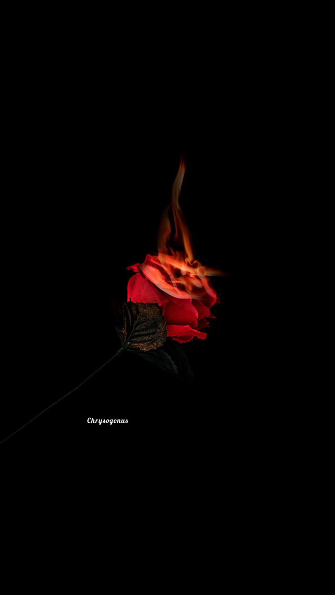 lightenin_alpha's tweet photo. The set up.                       The shot.
.
.
Please engage with the tweet, like and retweet 🙏🏾❤️
.
. 
.
Diana #phyna waec japa deji Igbos #ChefChi God Abeg Kyle kogi boy alone Obi #photography #wallpaper art https://t.co/eihBrW1sOo