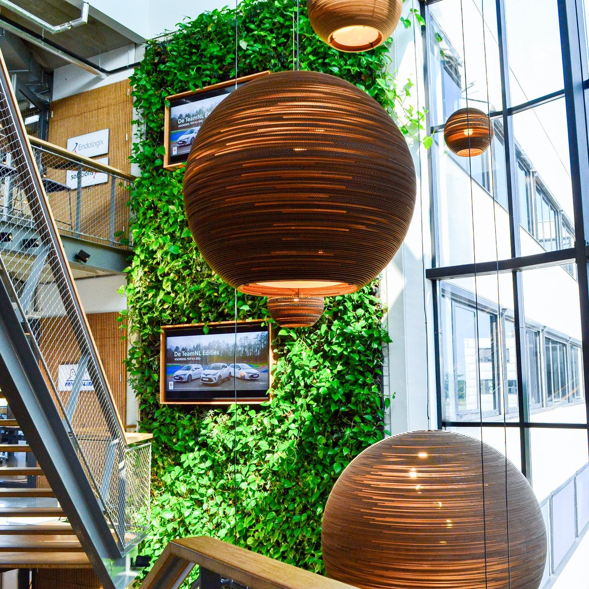 How cool is this green wall in the ProLease office? 
This green wall clearly gets enough light and that's a good thing. Enough light is important to keep the plants healthy.

#verticalgarden #greenery #greenwall