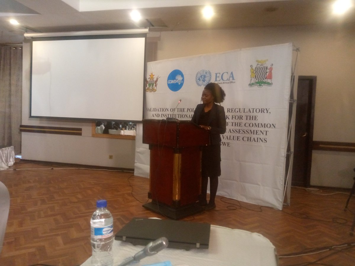 Min_of_IC's tweet photo. Dr. Mary Lubungu, ECA consultant weighs in on the #maizevaluechain #dairyvaluechain discussion highlighting how the two nations can benefit from each other through joint regional value chain development. #CAIP #agroindustrialpark #Agriculture #Zambia #Zimbabwe https://t.co/SNJjNA3GhS
