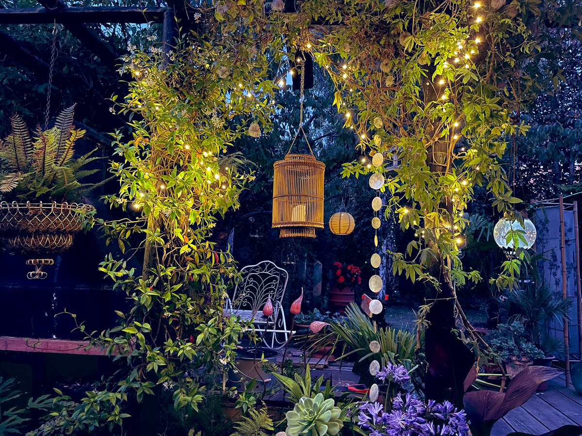 Magical night in my garden last night! It’s like being on the set of A Midsummer Night’s Dream! #mygarden #gardendesignersgarden #magicalgarden