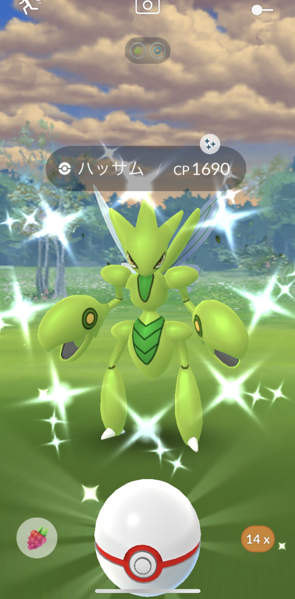 ハッサム色違い Twitter Search Twitter