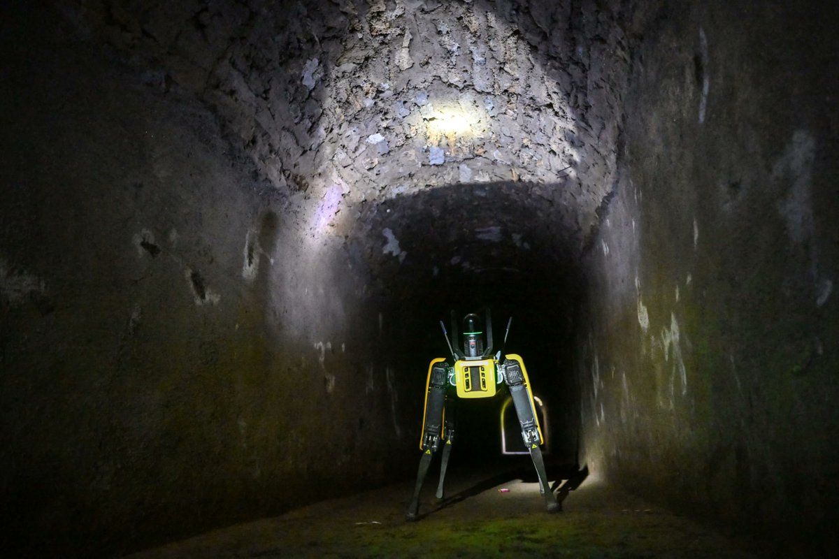 OptimoPrincipi's tweet photo. Cave robotum? A new guard-dog patrols the ancient streets of Pompeii. 'Spot' the robot dog made by Boston Dynamics will inspect the Roman ruins looking for evidence of structural damage, as well as safely exploring tunnels left by treasure hunters over the centuries. https://t.co/NEYOgHSPEo