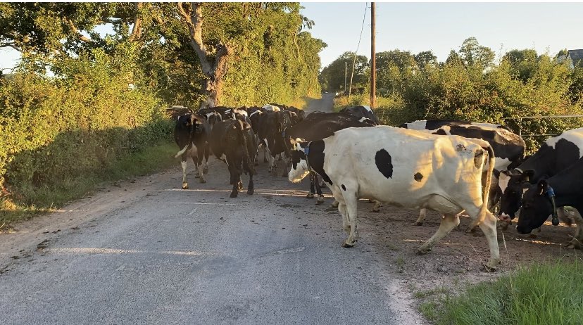 Salesian Agricultural College tweet media