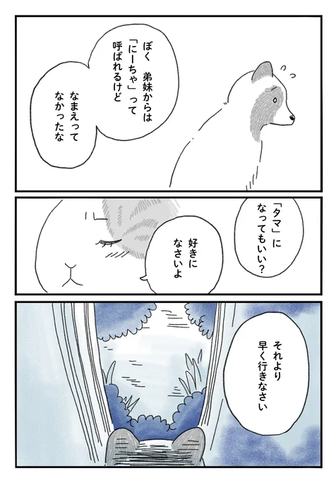 <たぬきのタマ>⓳
都会に生きるたぬきの兄弟の"タマ"のお話🦝

明日で完結〜。最後までみてね〜!🌃 