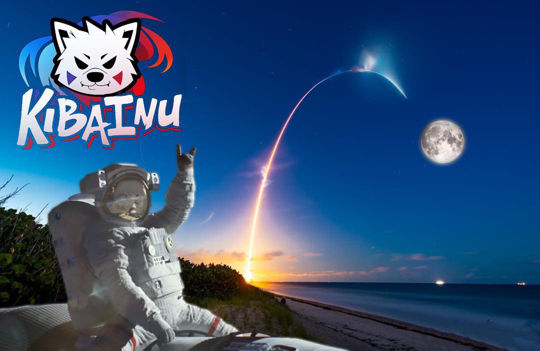 xtrAgentl's tweet photo. I love $kiba.👀👀👀
It's definitely gon' explode soon.

👀👀👀👀Bull run loading up🔥🔥🔥
X1000 💯💯💯
Accumulate more now !!!💯💯
@KibaInuWorld @kibajoker #kibakrew https://t.co/Wt1T05IJER