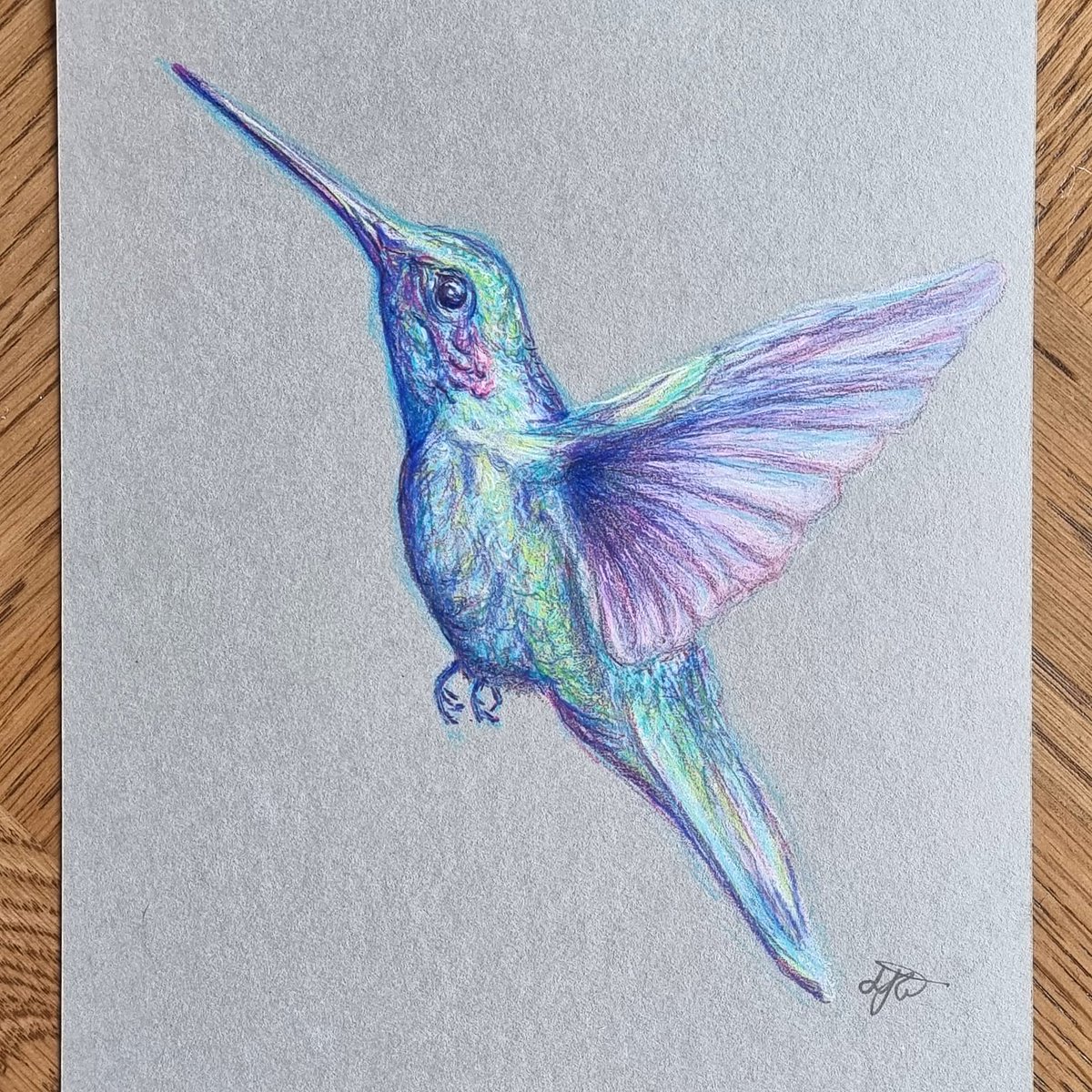 alittlebitolou's tweet photo. Hummingbird 💕. #cornishartist #art #Pencildrawing #hummingbird https://t.co/Vw9gJoaTaW