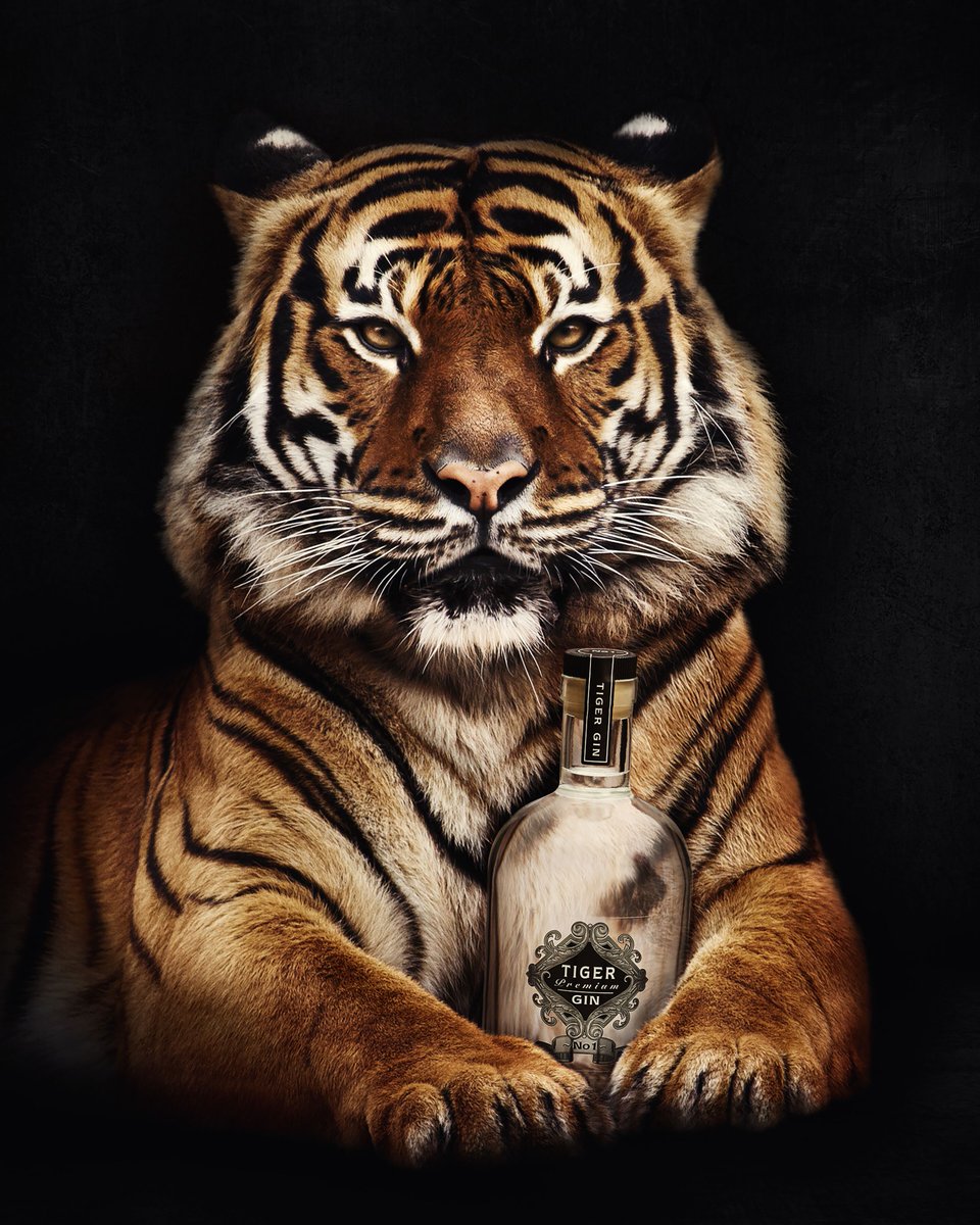 TheTigerGin's tweet photo. #yearofthetiger2022 @TheTigerGin ๐ฏ๐ฏ#mostawarded available from @MasterOfMalt #gin #rubytiger #pinkgin #ginoclock #gintonic #ilovegin #ginandtonic๐ธ๐ธ https://t.co/JvFGaSXUHs