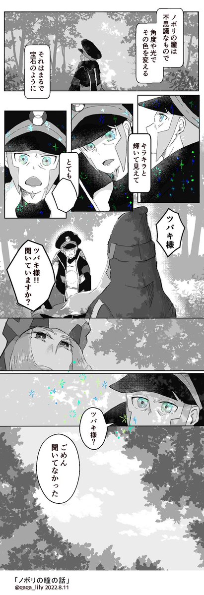 ノボリの瞳の話
#ツバノボ #ノボリ
⚠️灰色の瞳が角度や光の種類で青や緑に見えることもある…という話より
⚠️妄想でしかない
⚠️キラキラ具合は私の夢