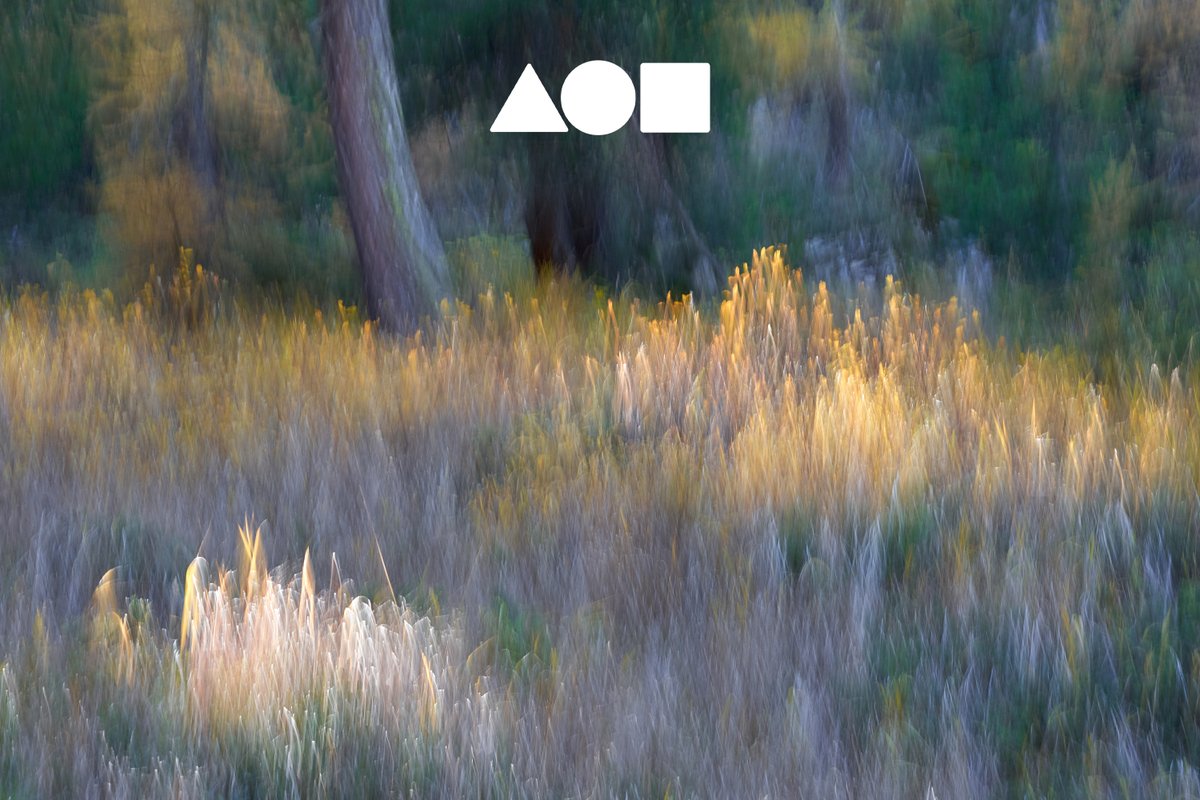 Andrea Celli | andreacelli.eth tweet media