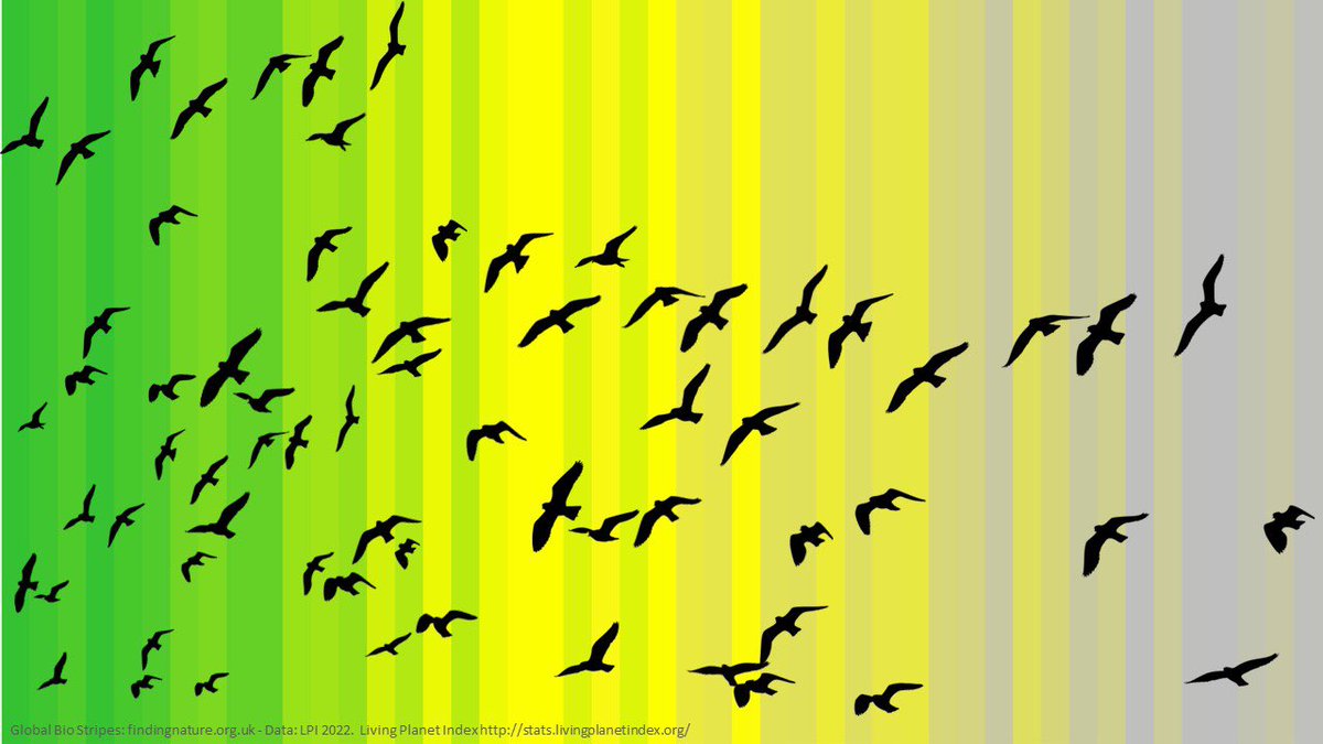 L_Espargiliere's tweet photo. Sur le modèle des « warming stripes », ou « bandes du réchauffement », la chercheuse Miles Richardson (@findingnature) a mis au point des bandes de la biodiversité pour représenter visuellement le déclin de 68% des populations de vertébrés depuis 1970. https://t.co/TJqibdEnG0