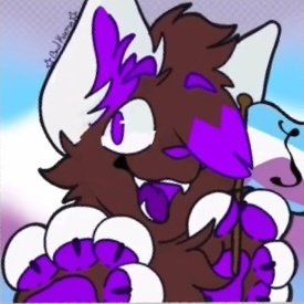 strawberrywolf4's tweet photo. #NewProfilePic hi I'm a new here #zoopride #zoovalid https://t.co/4IVC25epAX