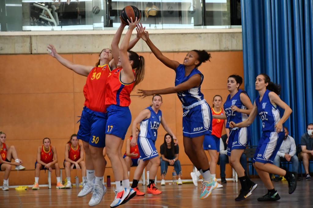 martinencbq's tweet photo. ⏩🏀Renovacions al Sènior femení de bàsquet per al curs 2022/2023
📝+Info, al web https://t.co/e8c3Dlv3qV
🤝Continuem juntes!
#SomMartinenc #SomdePrimera #BQFCM https://t.co/PetG6XUILR