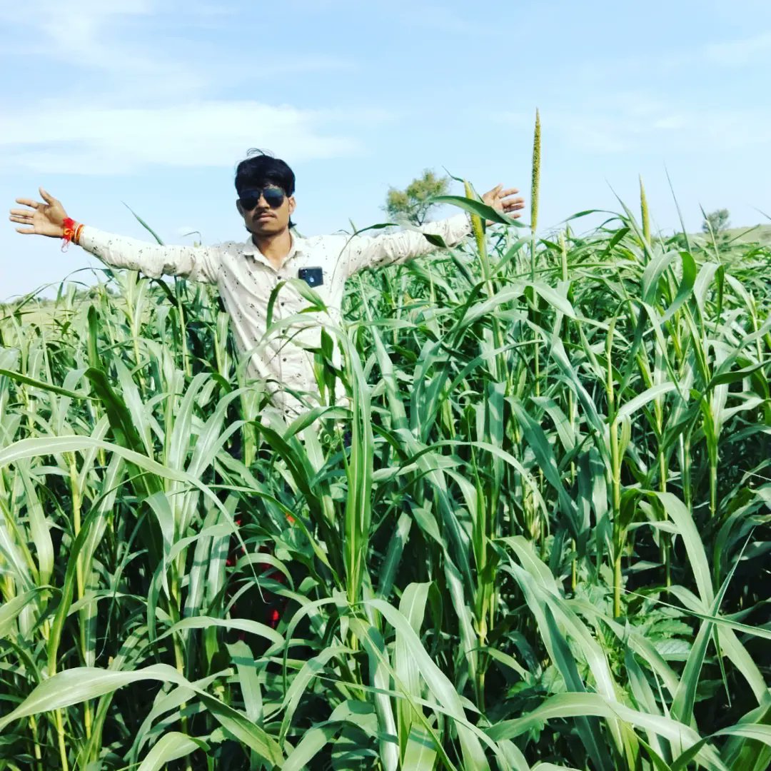 dharmpal. bishnoi. 6 (@6dharmpal) on Twitter photo 