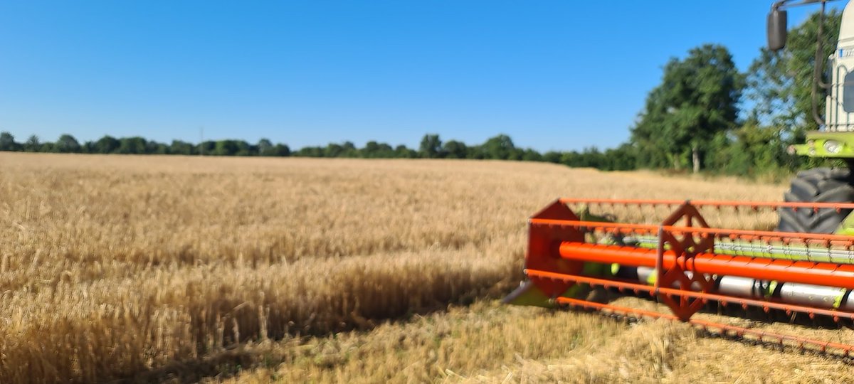 Hunter for the chop some sky 9 in the morning <a href="/boortmalt/">Boortmalt</a> <a href="/WaterfordWhisky/">Waterford Distillery</a> <a href="/WaterfordBarley/">BrewerDistillerWhiskeyMaturation</a> <a href="/farmersjournal/">Irish Farmers Journal</a>