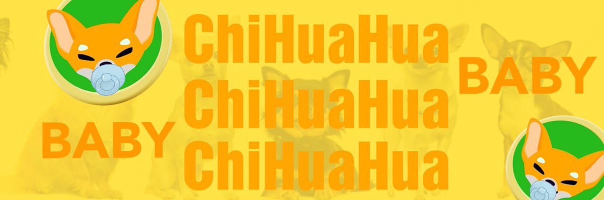 BabyChiHuaHua🚀 tweet media