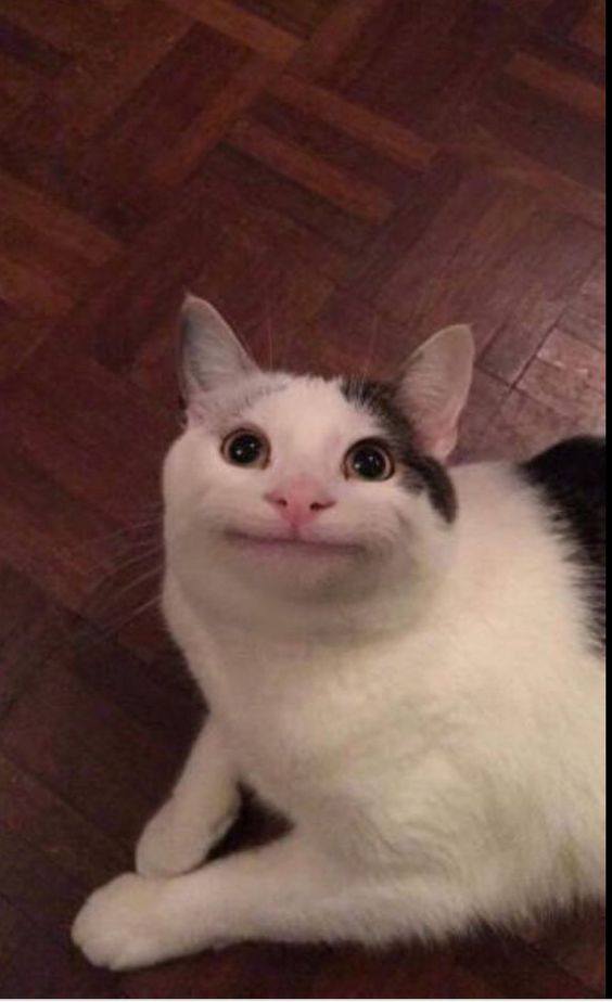 rdguitr_'s tweet photo. Me trying my best to shut up and being too excited, because I might spoil some scene from my story:
#OctsSunset https://t.co/LWrTlcH0Nc