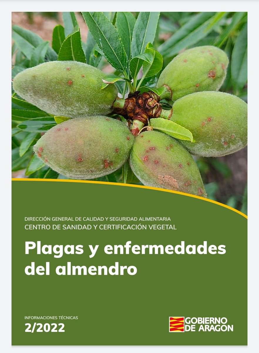redfaragon's tweet photo. El Centro de Sanidad y Certificación Vegetal #CSCV ha publicado una nueva información técnica sobre plagas y enfermedades del #almendro
https://t.co/EiiEFVh4AZ https://t.co/lMIrrIZ9rf