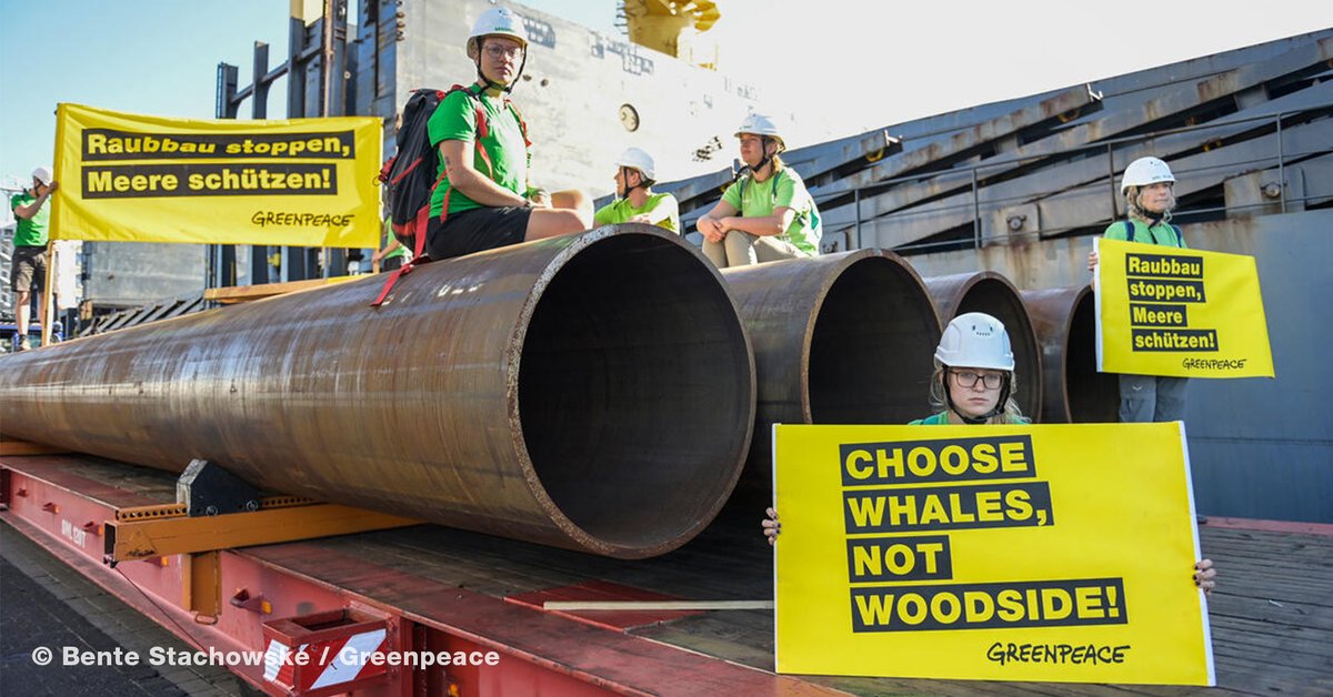 Greenpeace e.V. tweet media