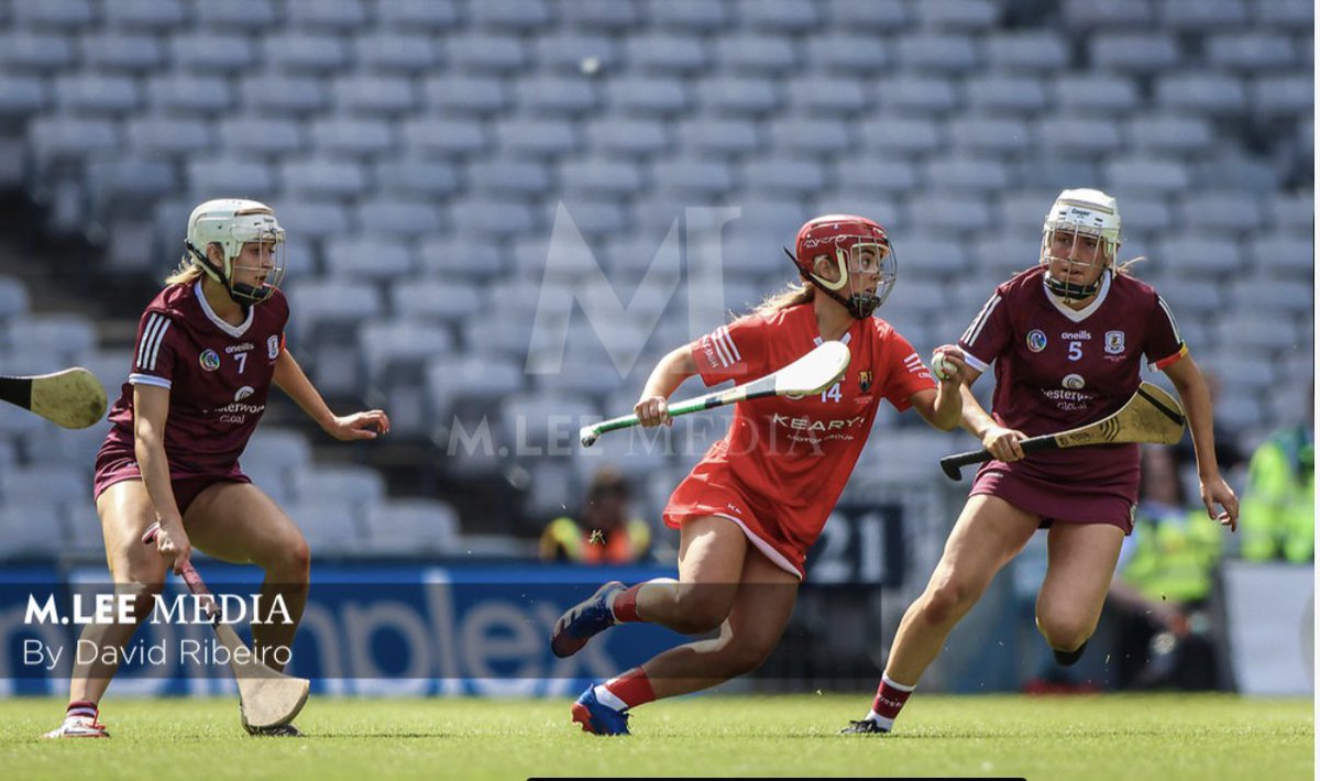 Hayley Ryan tweet media