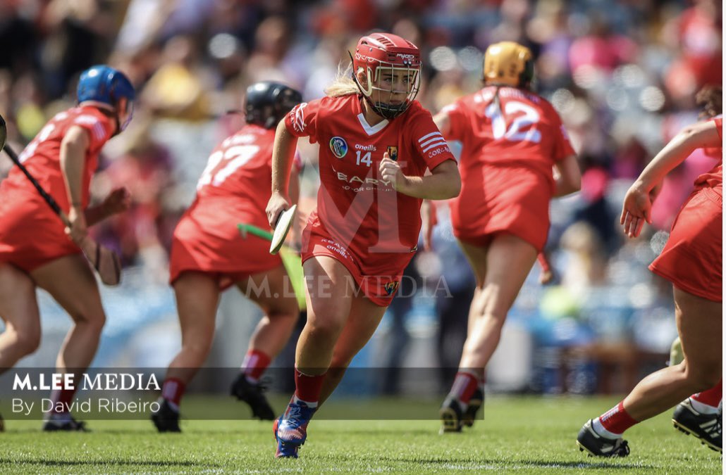 Hayley Ryan tweet media