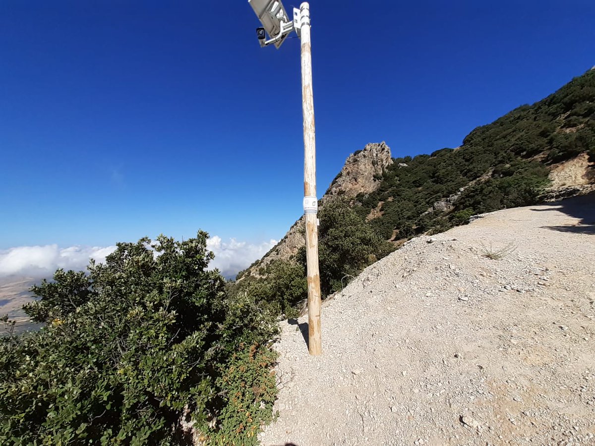 life4fir tweet media